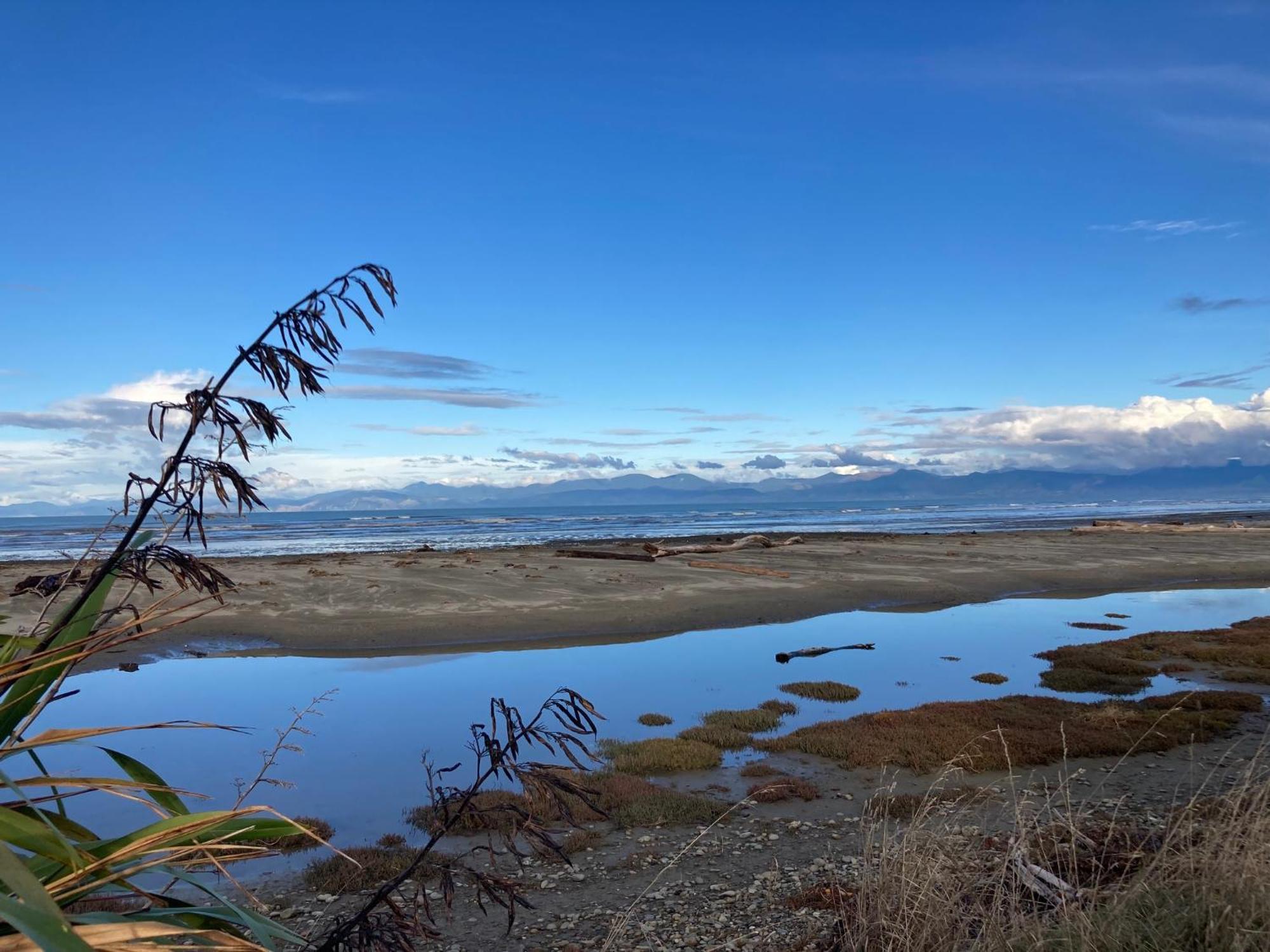 Modern, Sunny, Central Motueka ภายนอก รูปภาพ